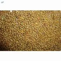 Dried Dhaincha Seeds