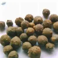 Gall Nut Majuphal Manjakani