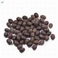 Dried Nelumbo Nucifera Seeds