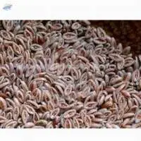 Psyllium Husk Powder