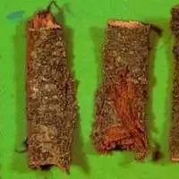 Kanchanar Bark Bauhinia Variegta