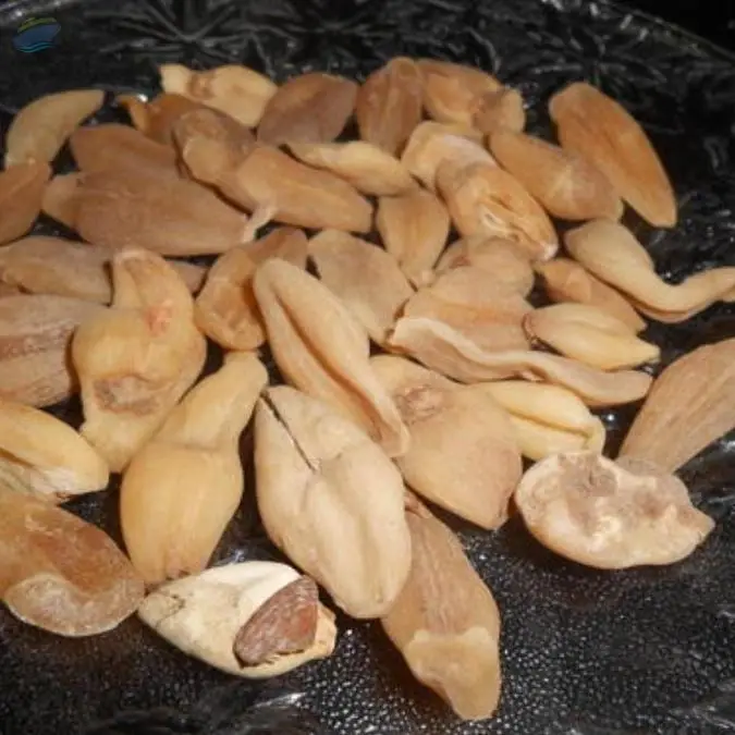 Powder Suranjan Shirin Herb