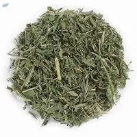 Alfalfa Grass Medicago Sativa