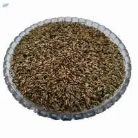 Apamarga Seed (Achyranthes Aspera)
