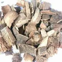 NT Kuda Bark (Holarrhena Aidyseerica)