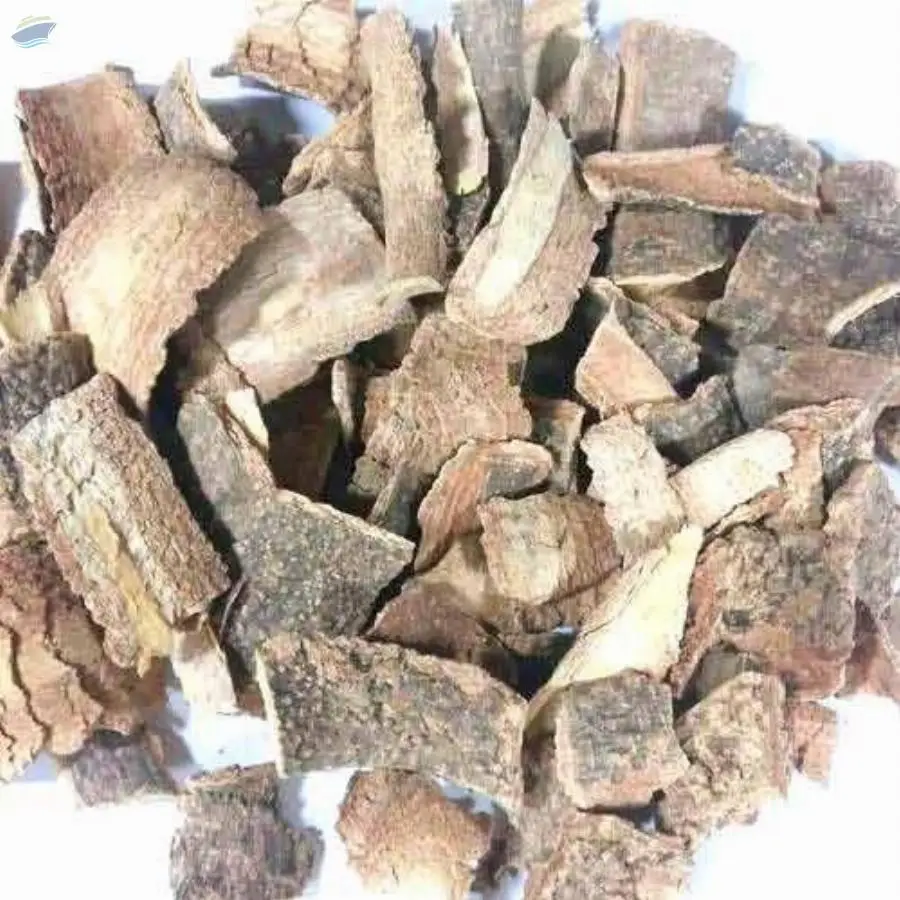 NT Kuda Bark (Holarrhena Aidyseerica)