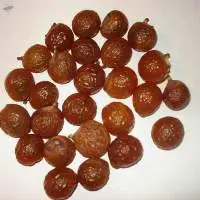 Soap Nut