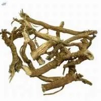 Natural Punarnava Boerhaavia Diffusa Roots