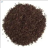 Baibrang Seed ( Embelia Ribes),
