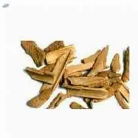 Natural Lodhra Symplocos Racemosa Bark