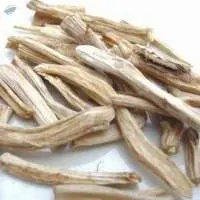 Asparagus Racemosus Shatawari