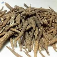 Ativisha Atis Aconitum Heterophyllum Root