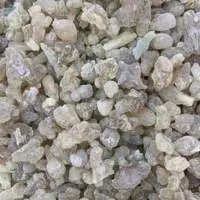Boswellia Serrata Gum Solid Salai Guggal