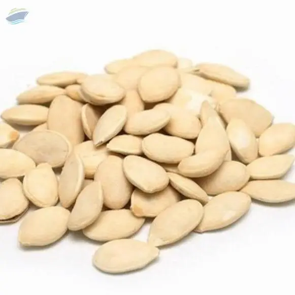 Pumpkin Seed (Cucurbita Maxima)
