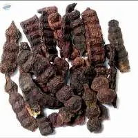 NT Herbal Shikakai Powder