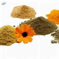 Ayurvedic Powder