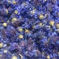 Corn Flower (centaurea Cyanus)